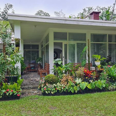 The Forest Villa Bogor Ngoại thất bức ảnh