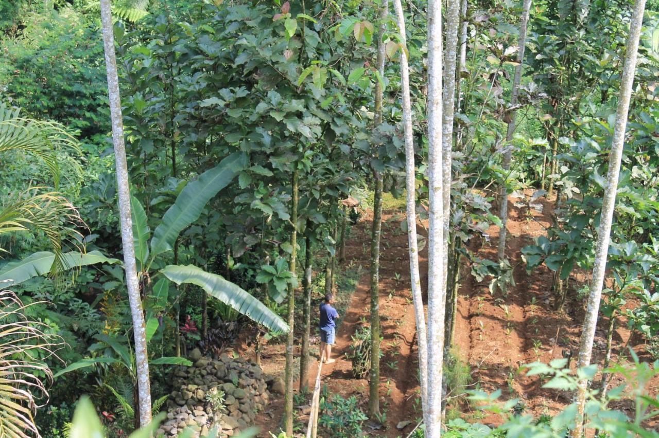 The Forest Villa Bogor Ngoại thất bức ảnh