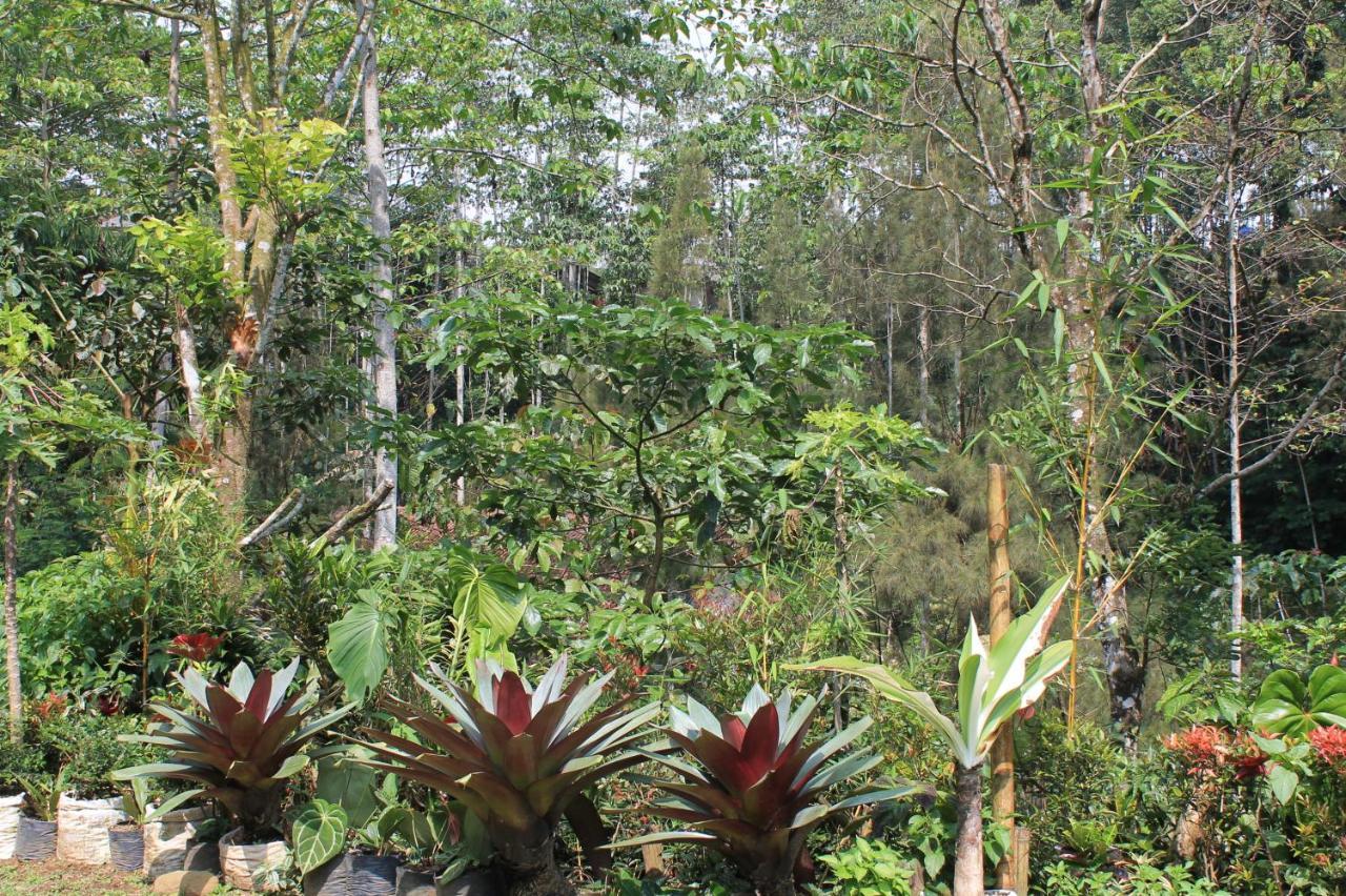 The Forest Villa Bogor Ngoại thất bức ảnh