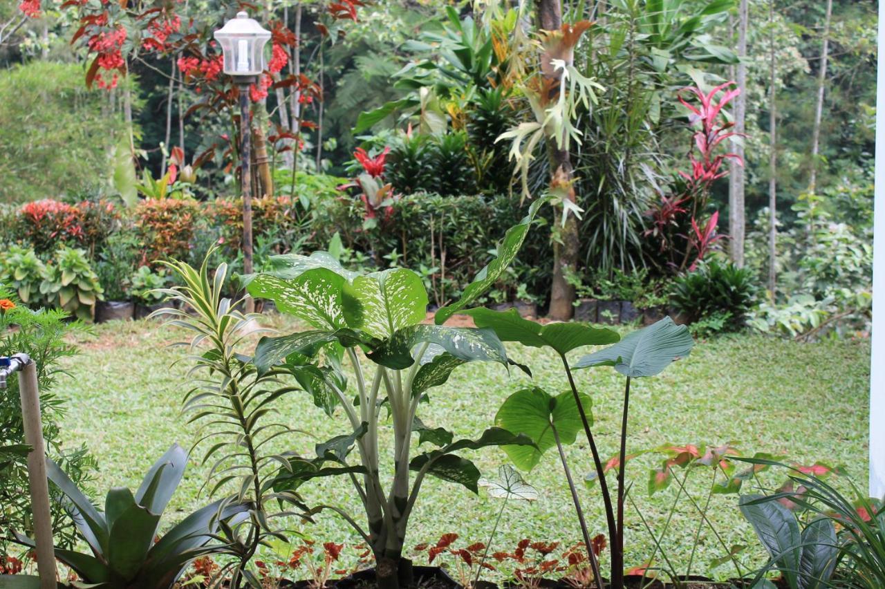 The Forest Villa Bogor Ngoại thất bức ảnh