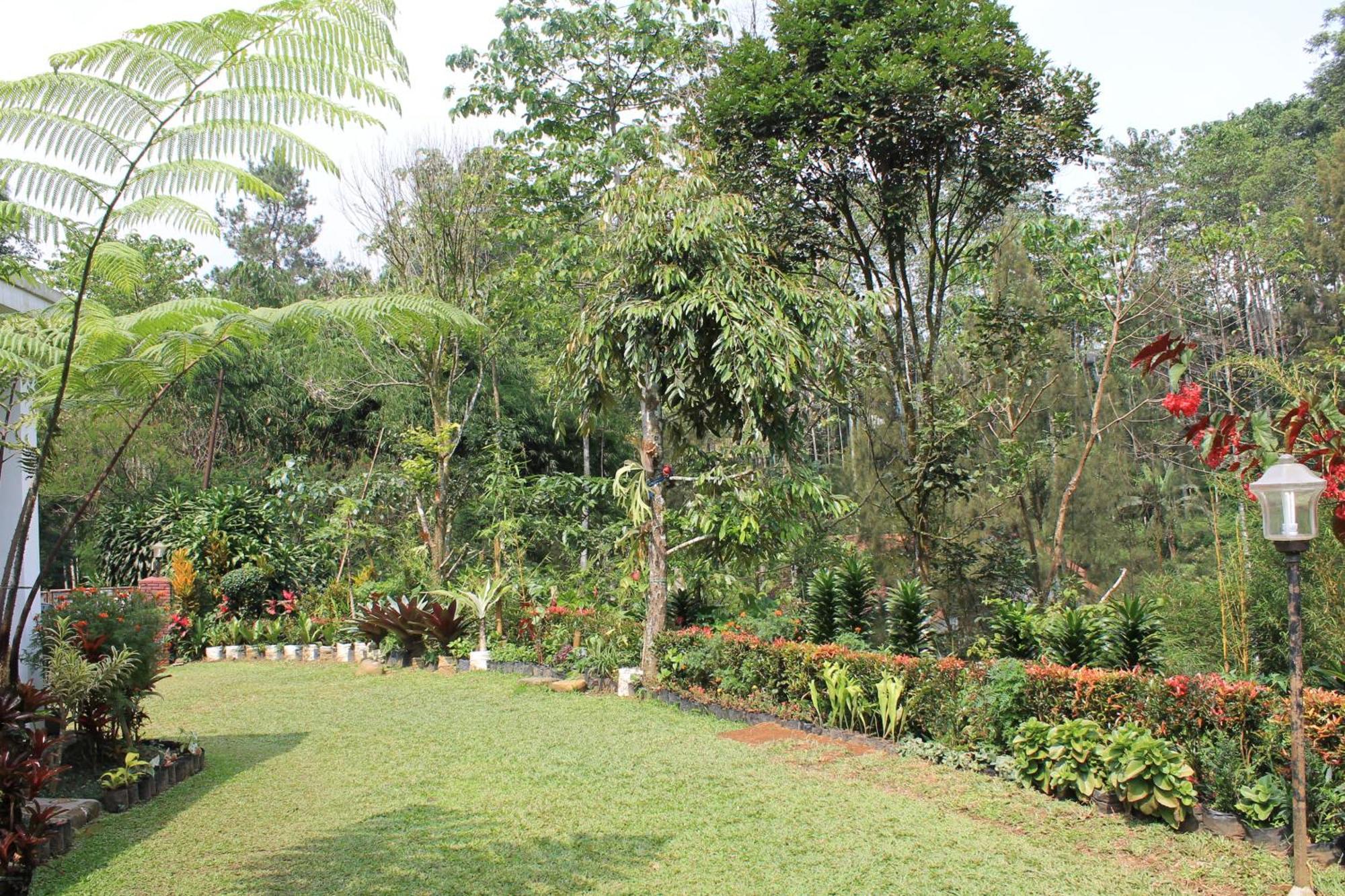 The Forest Villa Bogor Ngoại thất bức ảnh