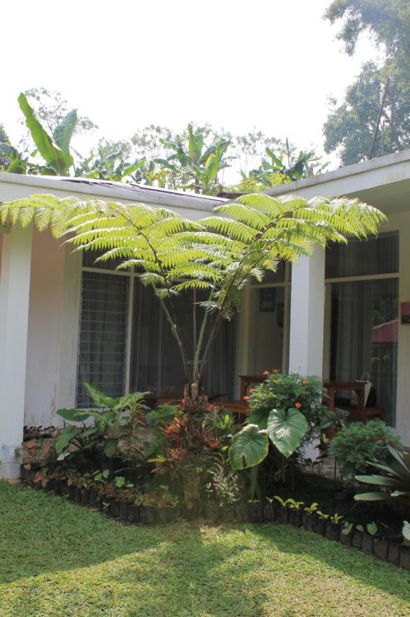 The Forest Villa Bogor Ngoại thất bức ảnh
