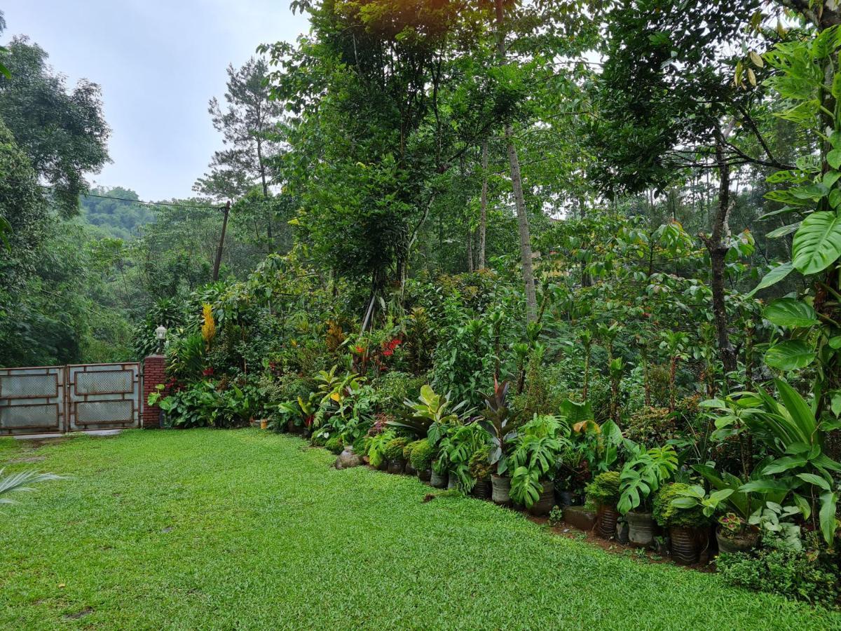 The Forest Villa Bogor Ngoại thất bức ảnh