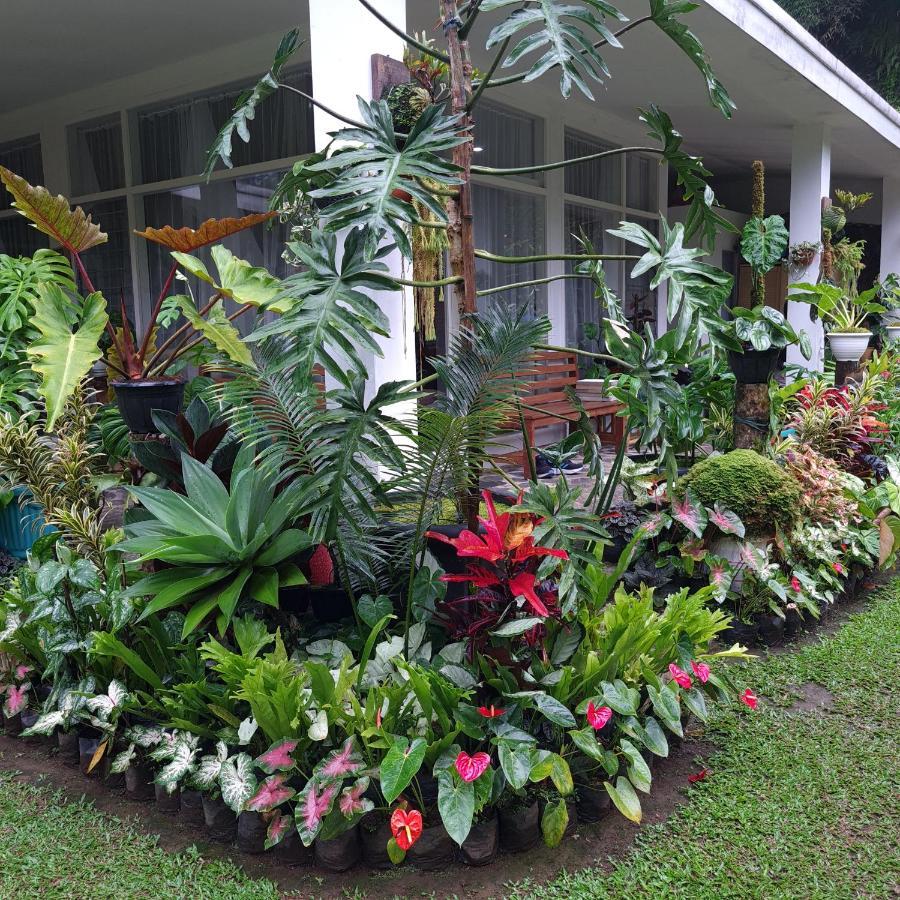 The Forest Villa Bogor Ngoại thất bức ảnh
